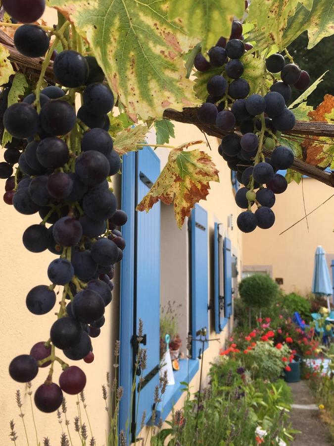 La Mesange Bleue Panzió Saint-Barthelemy  Kültér fotó