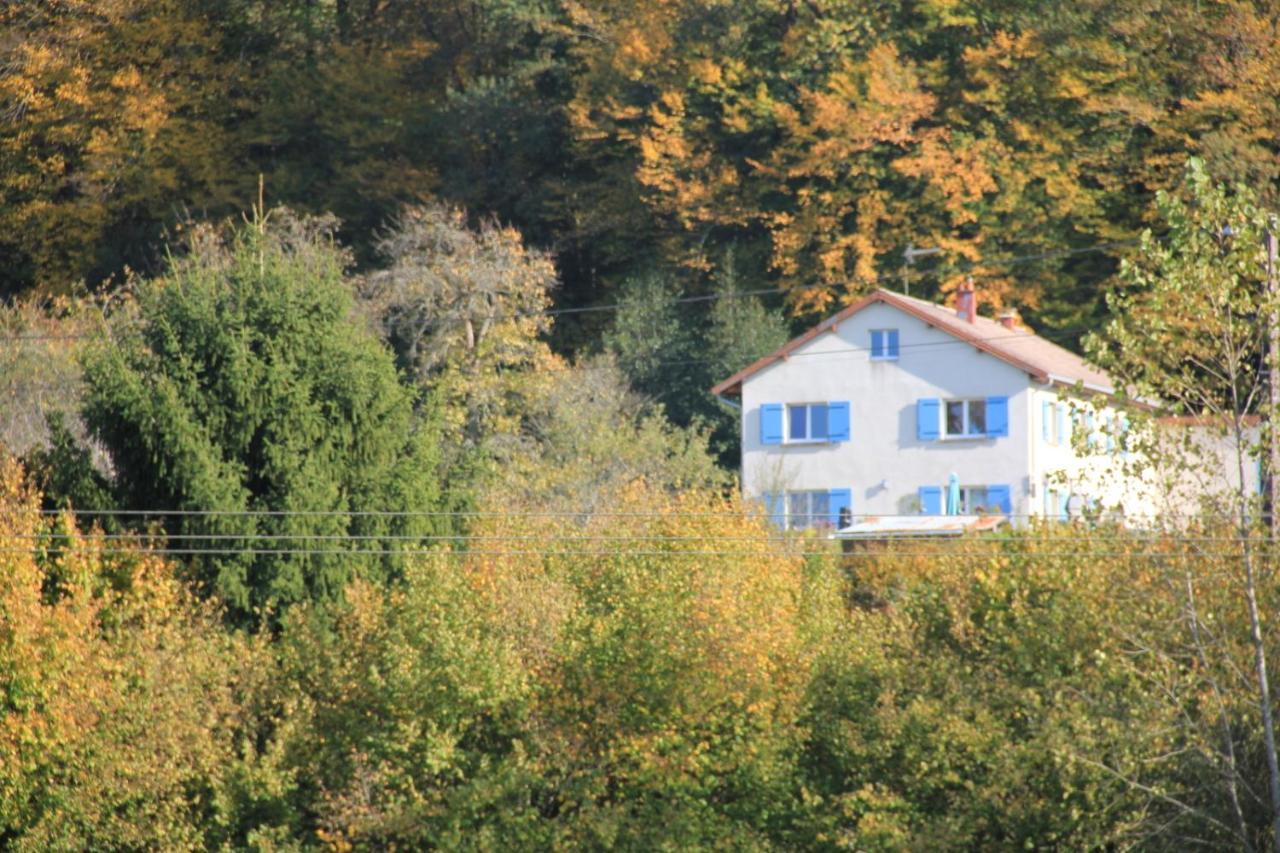 La Mesange Bleue Panzió Saint-Barthelemy  Kültér fotó